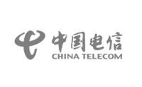  China Telecom